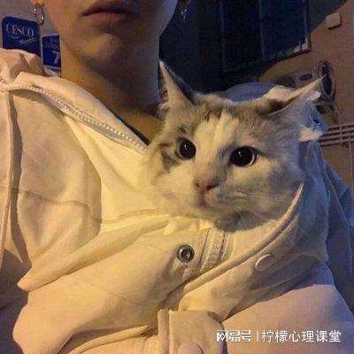 腾讯侠客红尘下载
